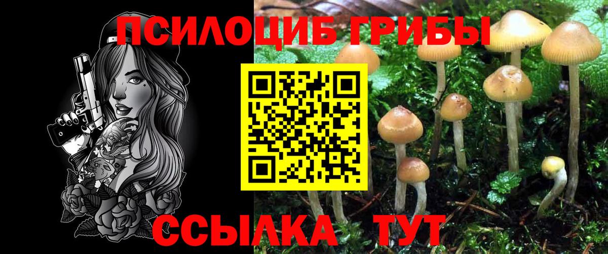 Бирск  Псилоцибиновые грибы прущие грибы  Галлюциногенные грибы Psilocybine cubensis  Вход с VPN 