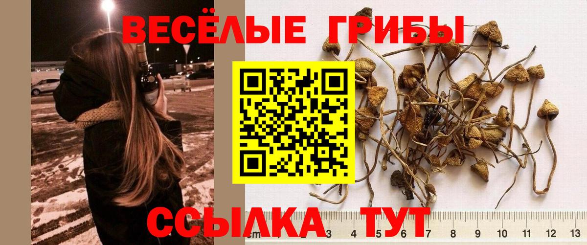 Галлюциногенные грибы Magic Shrooms Бирск